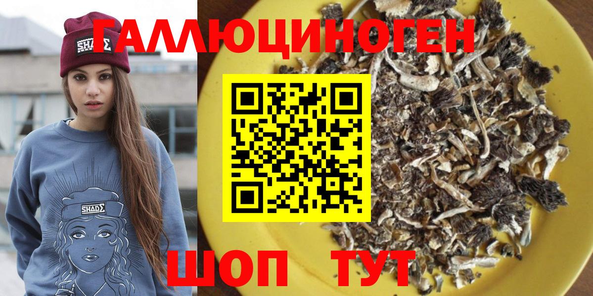 Галлюциногенные грибы MAGIC MUSHROOMS  Вход с VPN  Тосно 