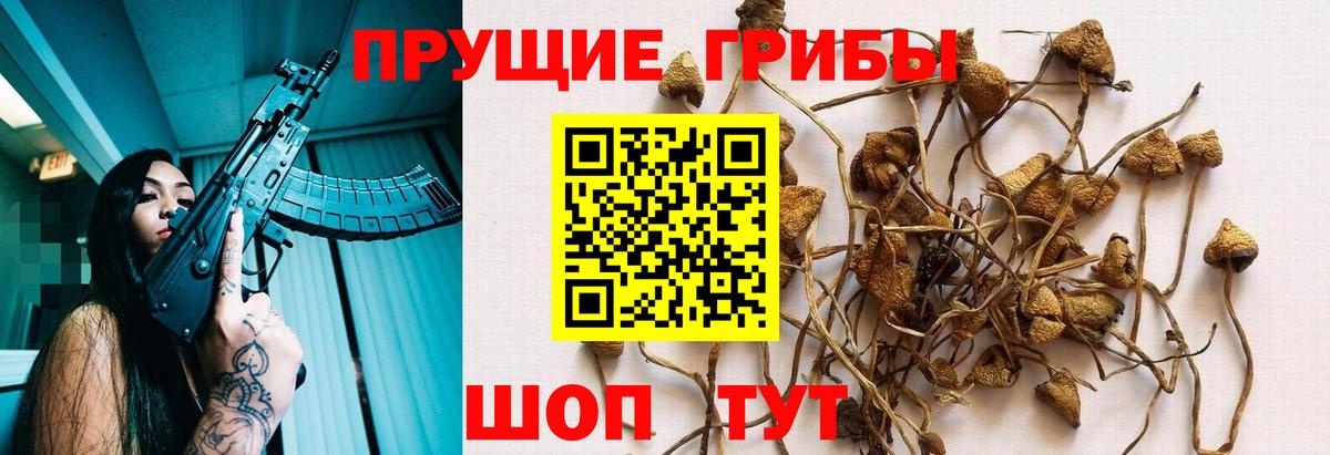 Псилоцибиновые грибы мухоморы Тосно